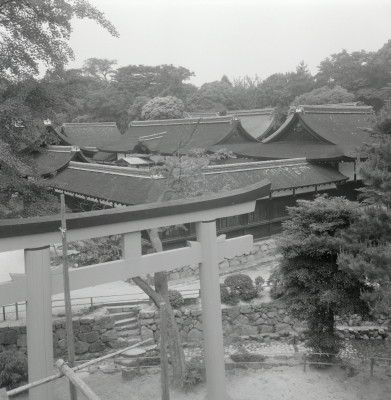 knd_03366(京都府京都市左京区下鴨泉川町59)