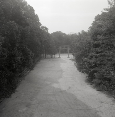 knd_03368(京都府京都市左京区下鴨泉川町59)