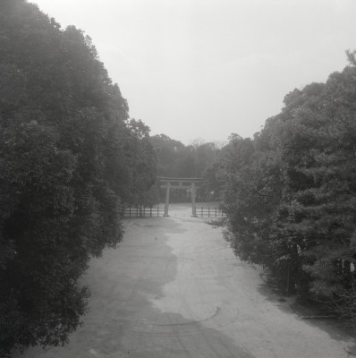 knd_03370(京都府京都市左京区下鴨泉川町59)
