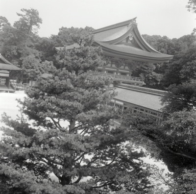 knd_03373(京都府京都市左京区下鴨泉川町59)
