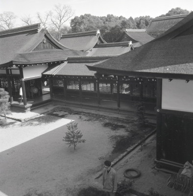 knd_03387(京都府京都市左京区下鴨泉川町59)