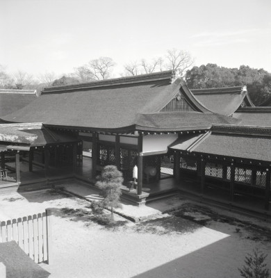 knd_03388(京都府京都市左京区下鴨泉川町59)