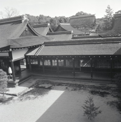 knd_03389(京都府京都市左京区下鴨泉川町59)