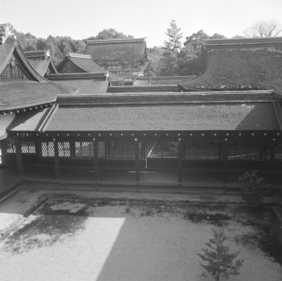 knd_03390(京都府京都市左京区下鴨泉川町59)