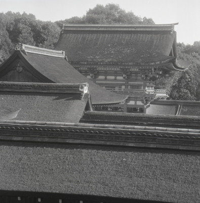 knd_03399(京都府京都市左京区下鴨泉川町59)