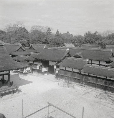 knd_03440(京都府京都市左京区下鴨泉川町59)