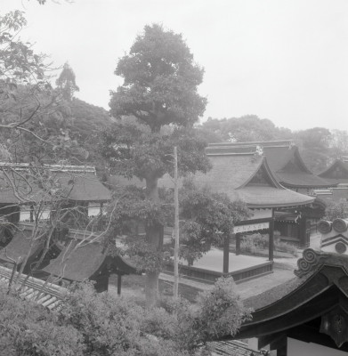 knd_03540(京都府京都市左京区下鴨泉川町59)