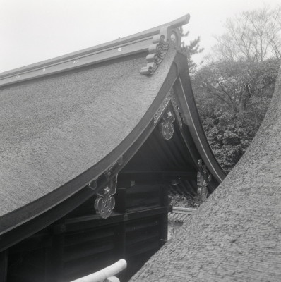 knd_03659(京都府京都市左京区下鴨泉川町59)