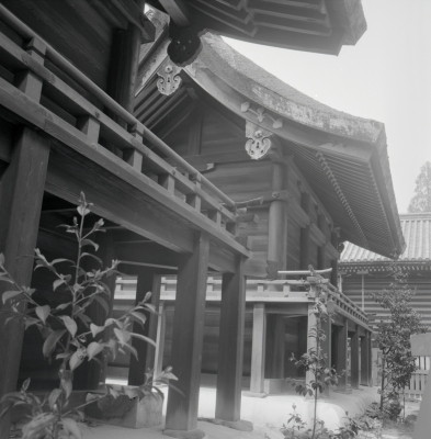 knd_03664(京都府京都市左京区下鴨泉川町59)