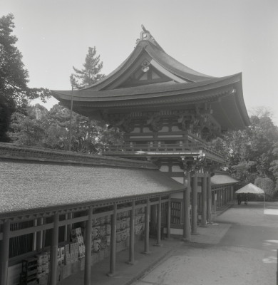 knd_03813(京都府京都市左京区下鴨泉川町59)