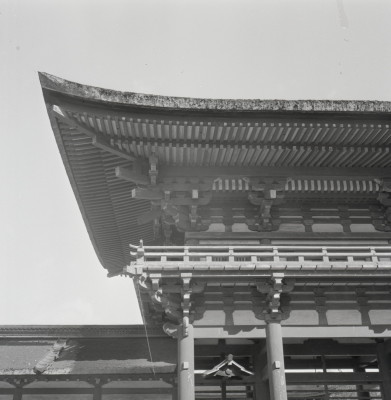 knd_03820(京都府京都市左京区下鴨泉川町59)