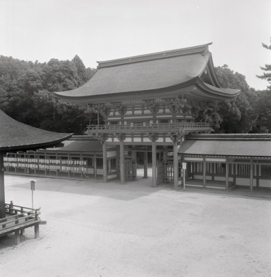 knd_03824(京都府京都市左京区下鴨泉川町59)