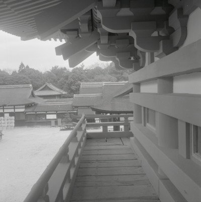 knd_03876(京都府京都市左京区下鴨泉川町59)