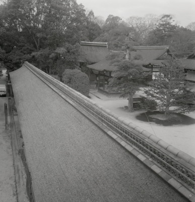 knd_03877(京都府京都市左京区下鴨泉川町59)