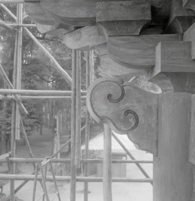 knd_03888(京都府京都市左京区下鴨泉川町59)