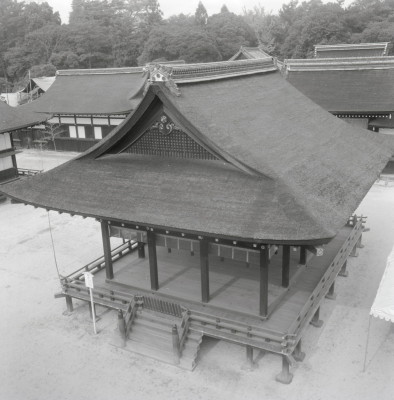 knd_03904(京都府京都市左京区下鴨泉川町59)