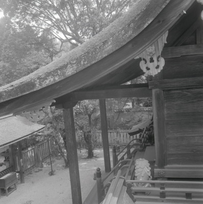 knd_04196(京都府京都市左京区下鴨泉川町59)