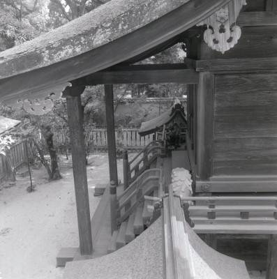 knd_04197(京都府京都市左京区下鴨泉川町59)