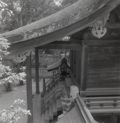 knd_04198(京都府京都市左京区下鴨泉川町59)