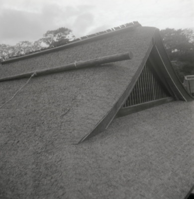 knd_04227(京都府京都市左京区下鴨泉川町59)