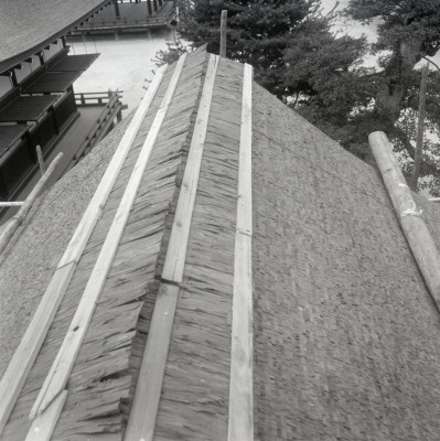 knd_04236(京都府京都市左京区下鴨泉川町59)