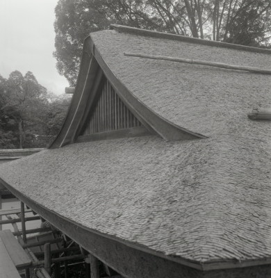 knd_04249(京都府京都市左京区下鴨泉川町59)
