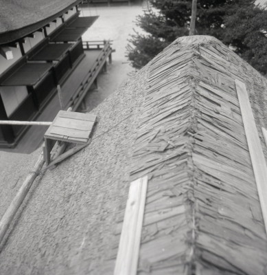 knd_04279(京都府京都市左京区下鴨泉川町59)