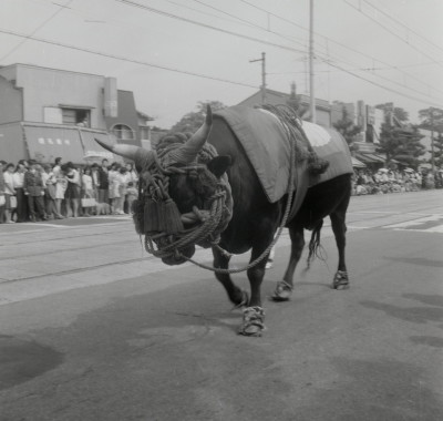 knd_04399(京都府京都市左京区下鴨泉川町59)