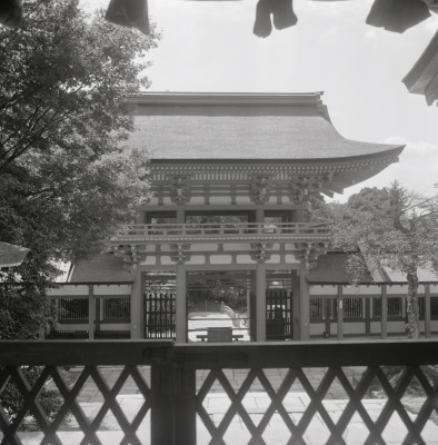 knd_04518(京都府京都市北区上賀茂本山)