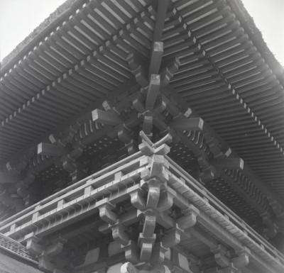 knd_04529(京都府京都市北区上賀茂本山)