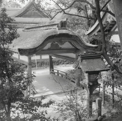 knd_04545(京都府京都市北区上賀茂本山)