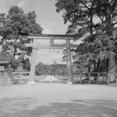 knd_04573(京都府京都市北区上賀茂本山)