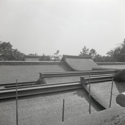 knd_04586(京都府京都市北区上賀茂本山)