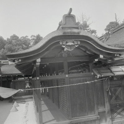 knd_04603(京都府京都市北区上賀茂本山)