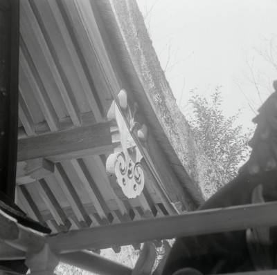 knd_04674(京都府京都市北区上賀茂本山)