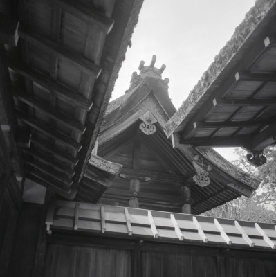 knd_04702(京都府京都市北区上賀茂本山)