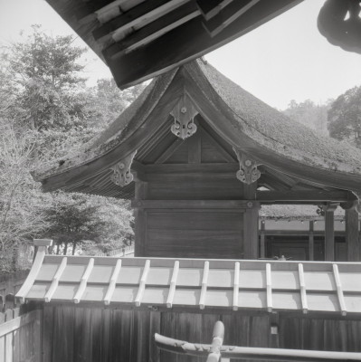 knd_04704(京都府京都市北区上賀茂本山)