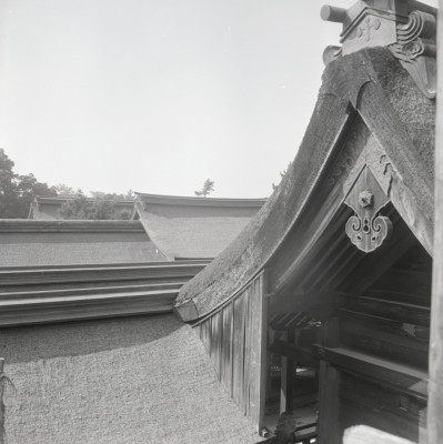 knd_04735(京都府京都市北区上賀茂本山)