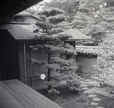 knd_04825(京都府京都市北区紫野大徳寺町)