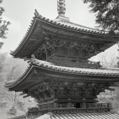 knd_04862(京都府京都市北区紫野大徳寺町)