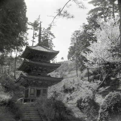 knd_04863(京都府京都市北区紫野大徳寺町)