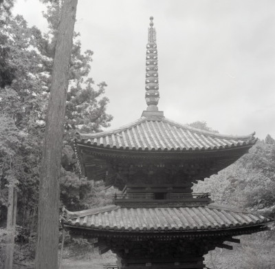 knd_04866(京都府京都市北区紫野大徳寺町)