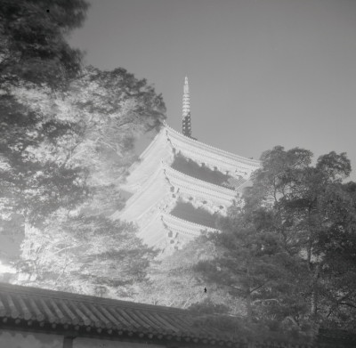 knd_05240(京都府京都市南区九条町)