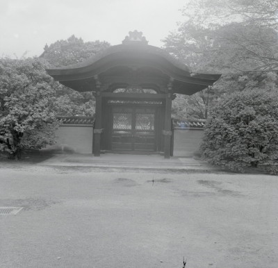 knd_05244(京都府京都市南区九条町)
