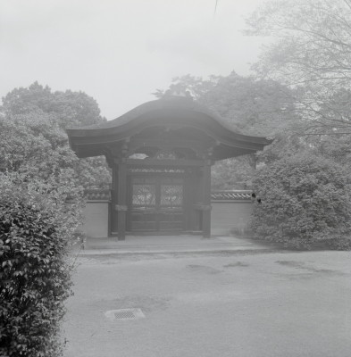 knd_05245(京都府京都市南区九条町)