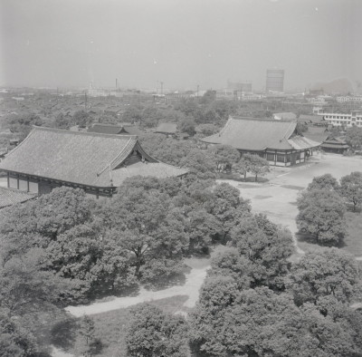 knd_05263(京都府京都市南区九条町)