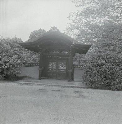 knd_05265(京都府京都市南区九条町)