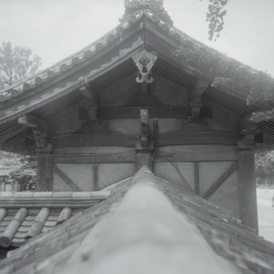 knd_05299(京都府京都市南区九条町)