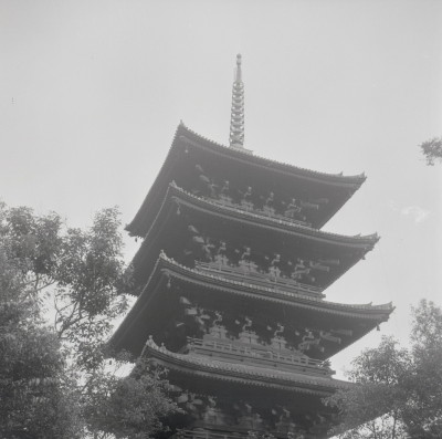 knd_05314(京都府京都市南区九条町)