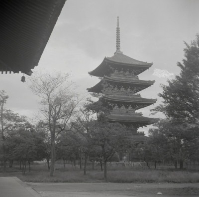 knd_05315(京都府京都市南区九条町)